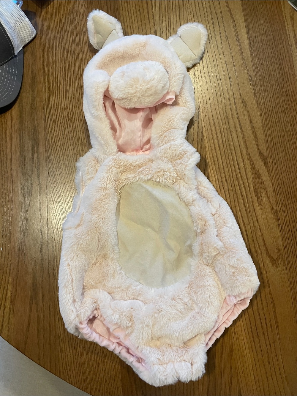 Pottery Barn Kids Baby Pig Costume